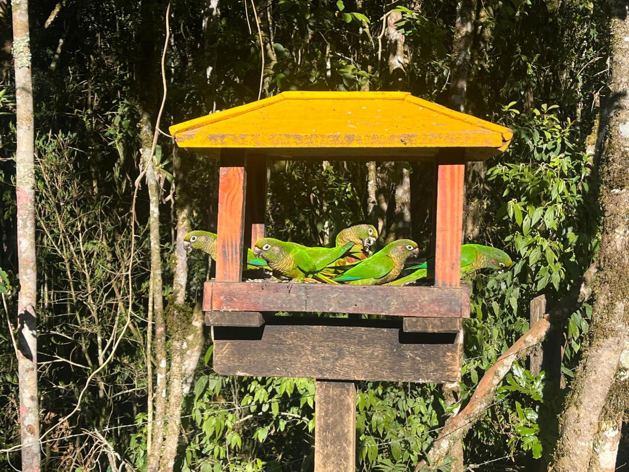 La Floresta Suites - Campos do Jordao — Fotos 3
